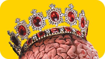 blog_crown blog_crown